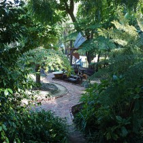 ARA 2020-05-14 - Garden (5) Balcony View